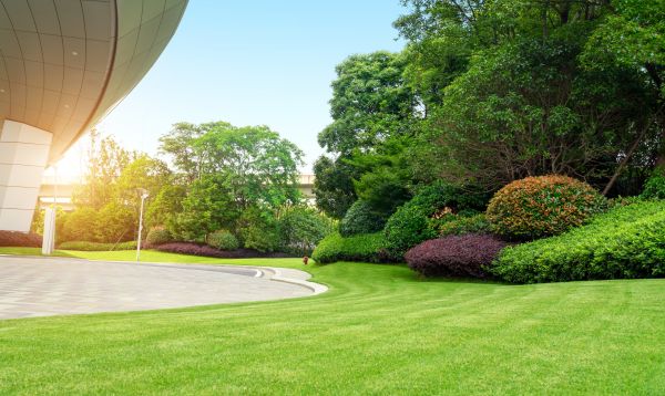 Commercial Shrub Trimming in Rockford