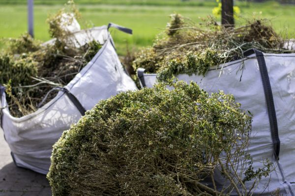 Bush Removal Service in Rockford