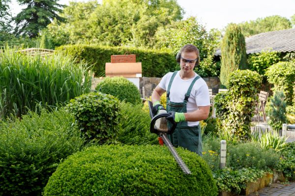 Shrubs Trimming in Rockford