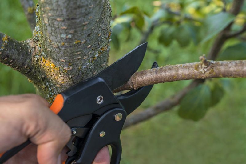 Landscape Pruning Service