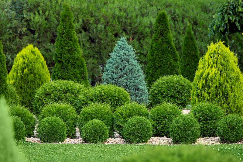 Detailed Shrub Shaping