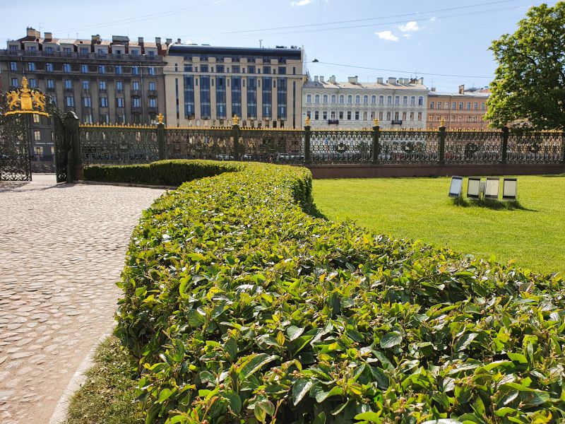 Healthy, Vibrant Shrubs